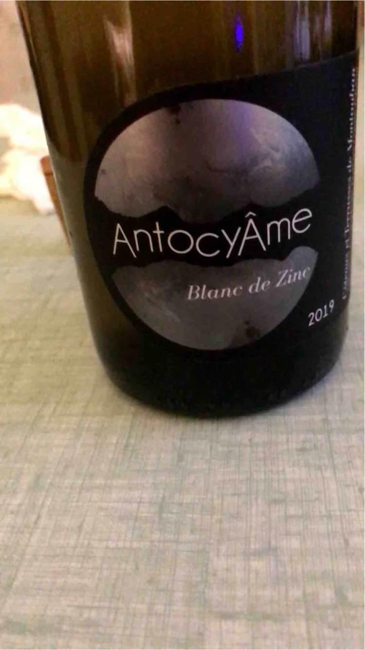 Blanc de Zinc - AntocyÂme - Muriel Zoldan 