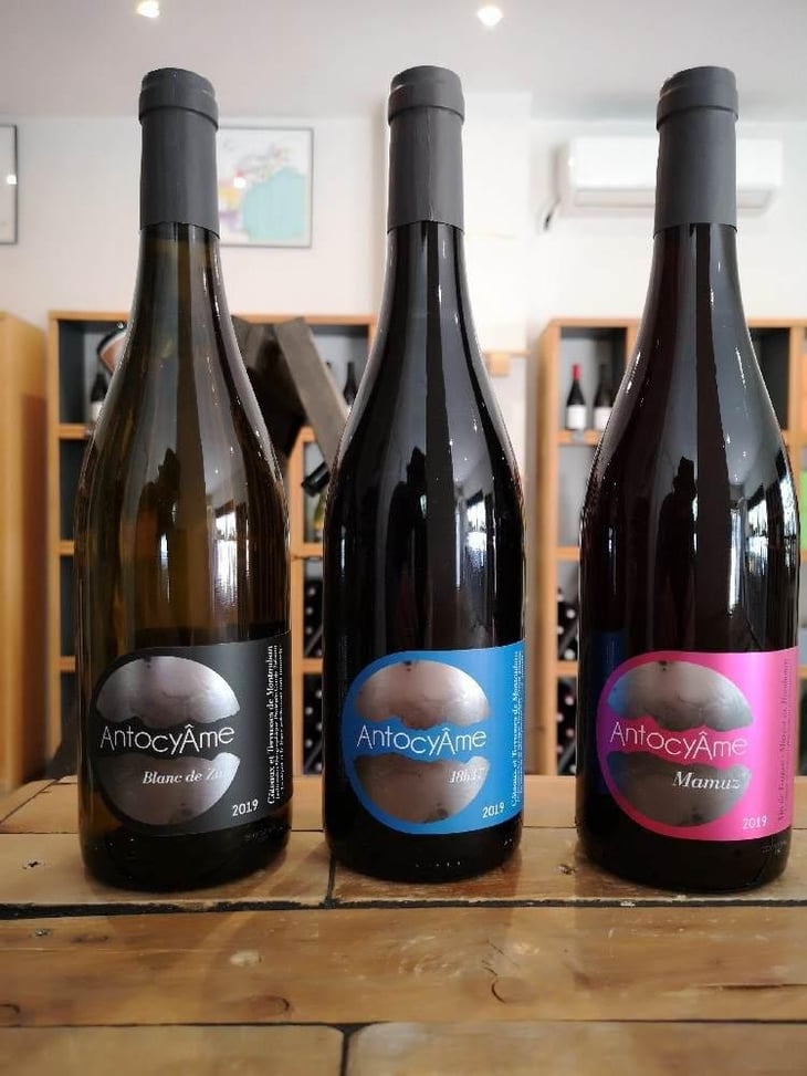 Blanc de Zinc - AntocyÂme - Muriel Zoldan 