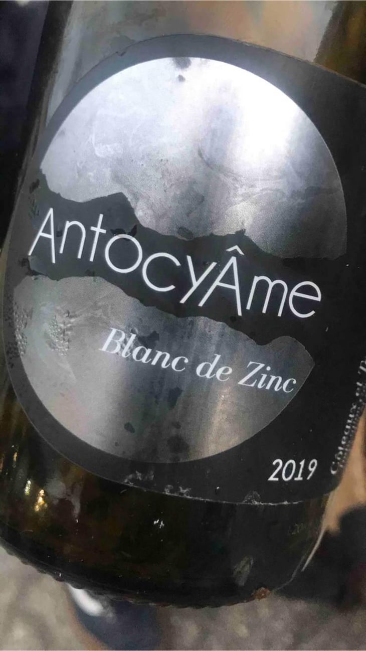 Blanc de Zinc - AntocyÂme - Muriel Zoldan 