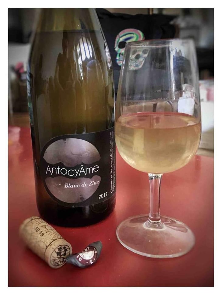 Blanc de Zinc - AntocyÂme - Muriel Zoldan 