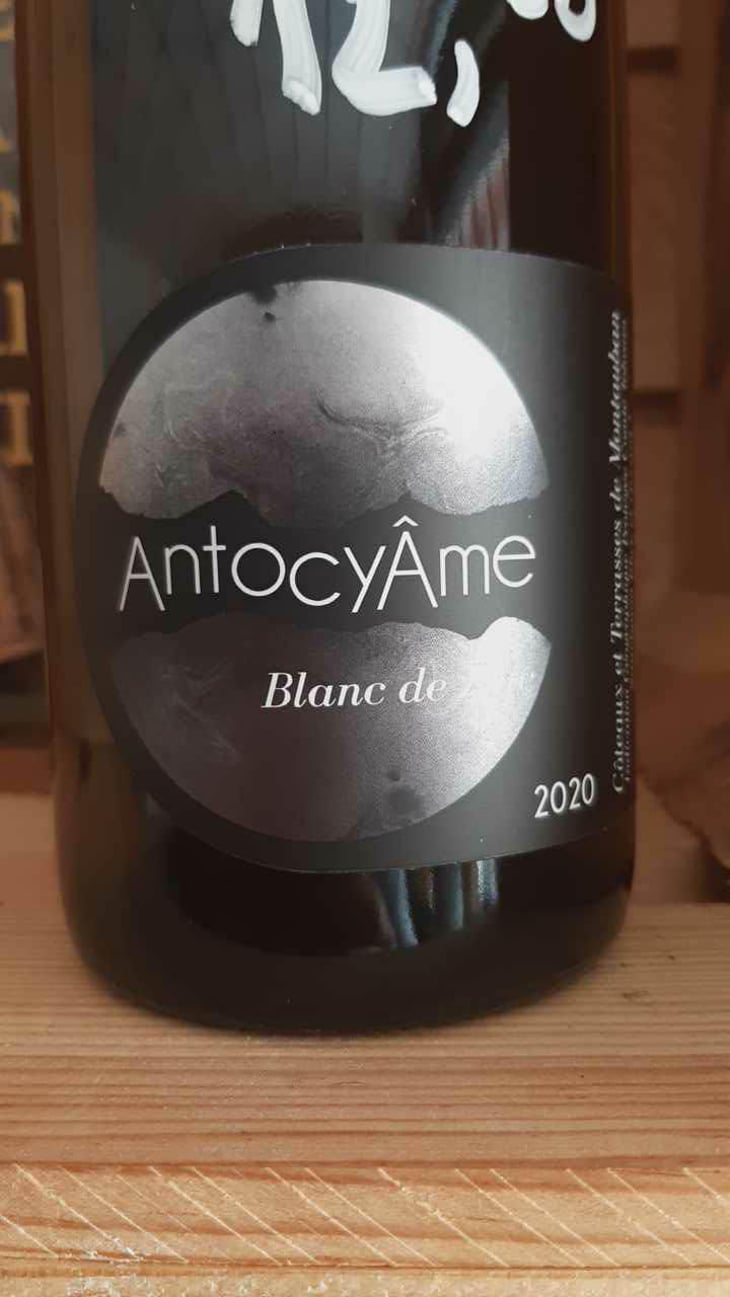 Blanc de Zinc - AntocyÂme - Muriel Zoldan 