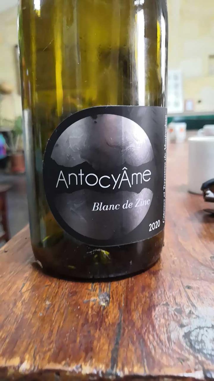 Blanc de Zinc - AntocyÂme - Muriel Zoldan 
