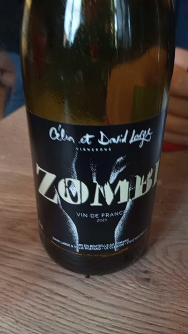 Zombi - David Large - Célia Rostand et David Large 