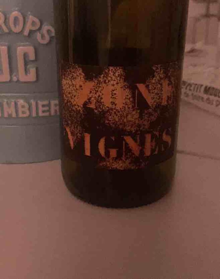 ZONE VIGNE - Domaine Des Trouillères - Camille & Mikael Hyvert -2022