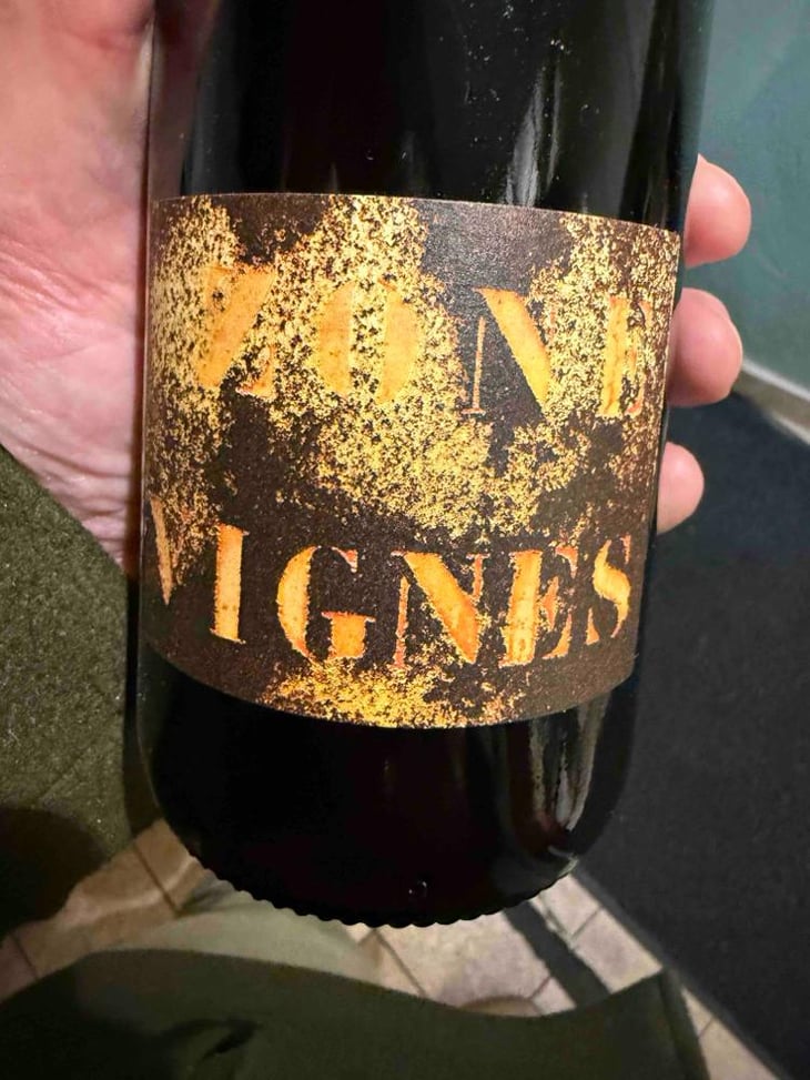 ZONE VIGNE - Domaine Des Trouillères - Camille & Mikael Hyvert -2022