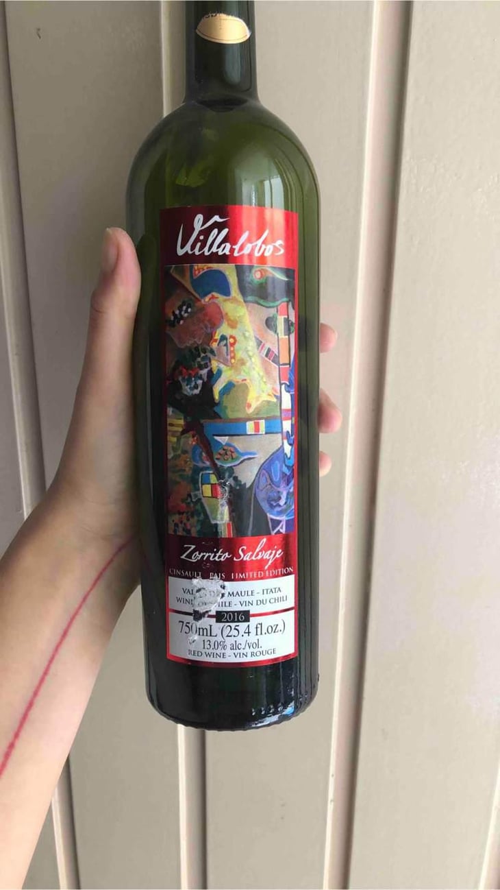 Zorrito Salvage - Villalobos - Enrique Villalobos 
