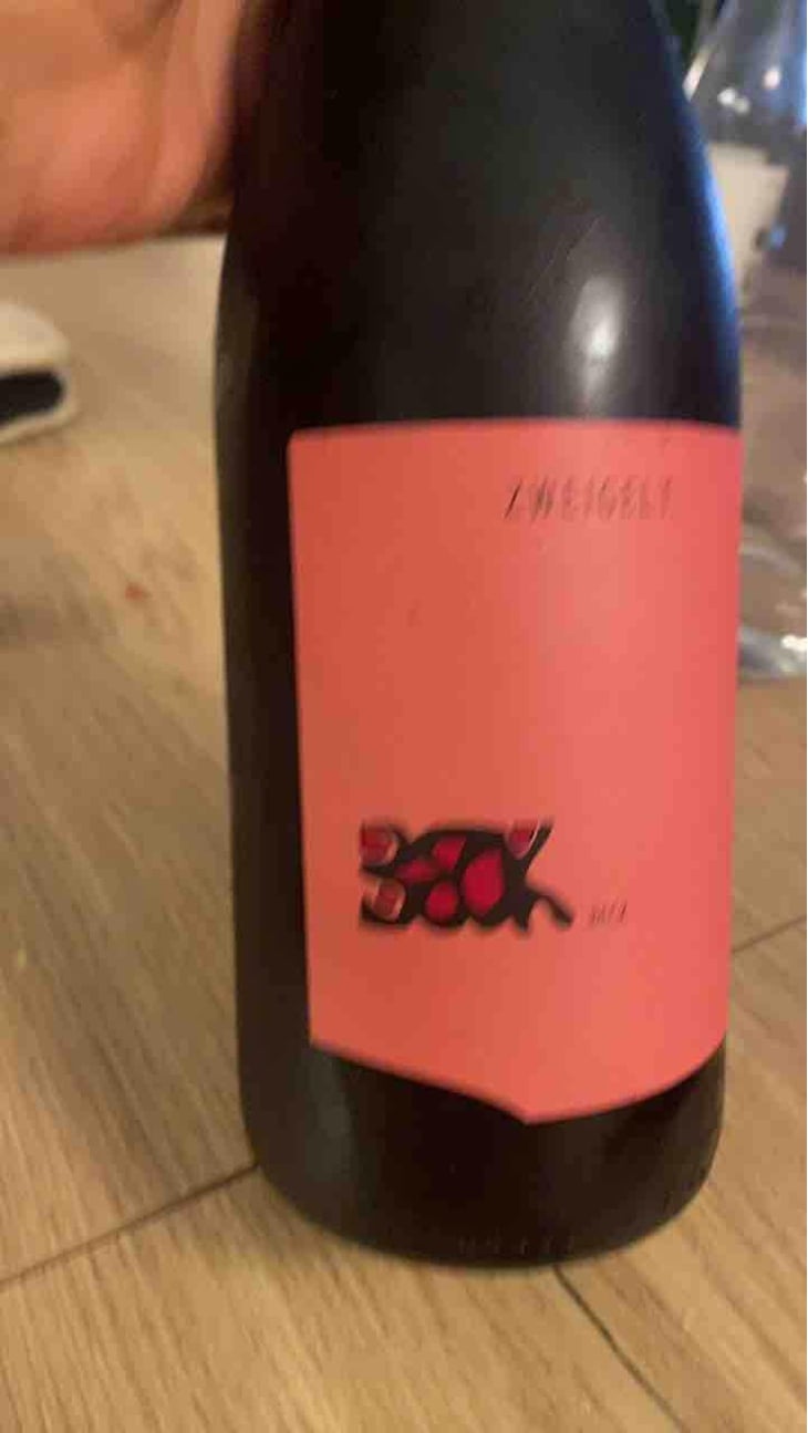 Zweigelt - Weingut Beck - Judith Beck 