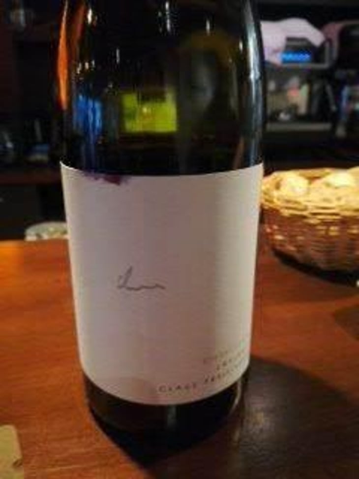Zweigelt Kieselstein - Weingut Claus Preisinger - Claus Preisinger 