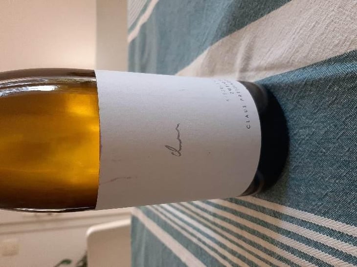 Zweigelt Kieselstein - Weingut Claus Preisinger - Claus Preisinger 