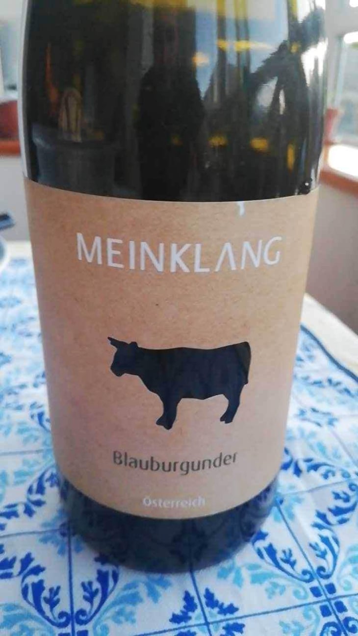 Zweigelt - Meinklang - Weingut Michlits - Angela & Werner Michlits 