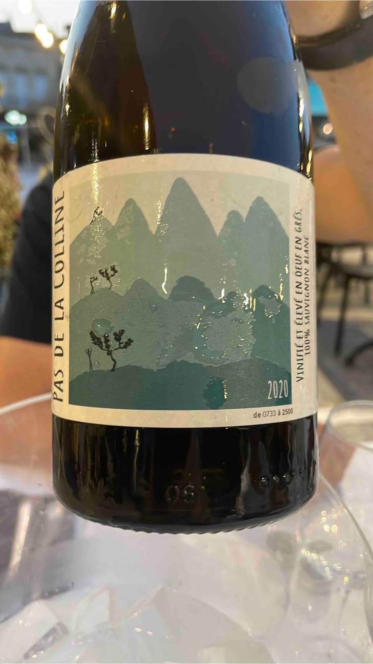 PAS DE LA COLLINE - Clos De La Molénie - Sylvain & Kim Destrieux -2020