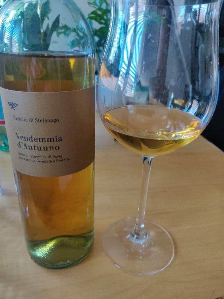 Vendemmia D'Autunno - Castello di Stefanago - antonio-giacomo-baruffaldi 