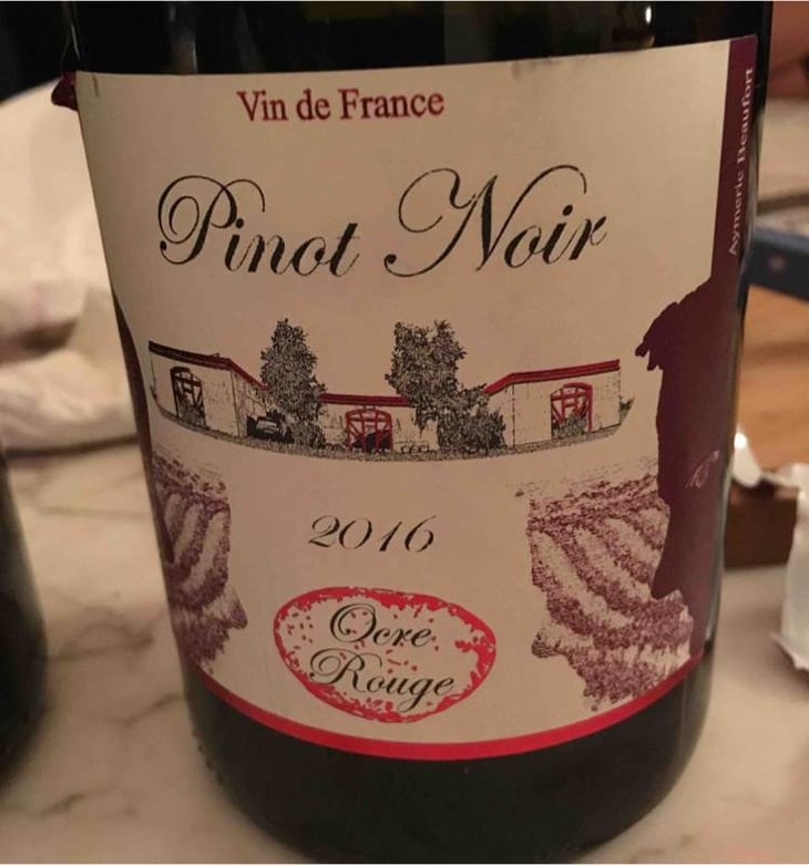 Pinot Noir - Domaine de l'Ocre Rouge - aymeric-marceline-beaufort 