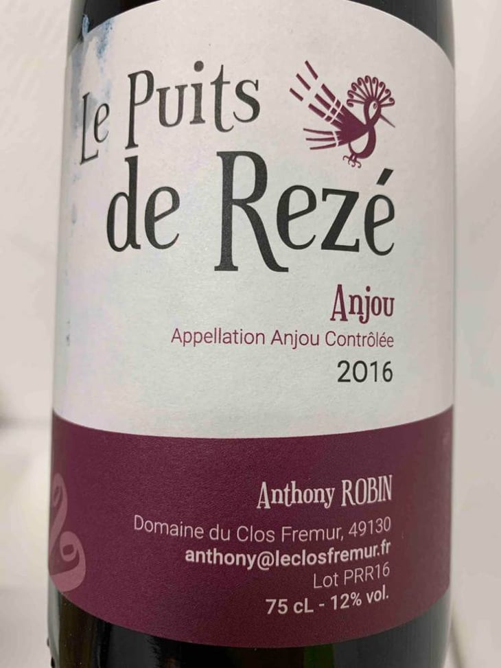Le Puits De Rezé (Rouge) - Domaine du Clos Fremur - anthony-robin 