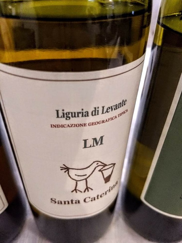 LM - Santa Caterina - andrea-kihlgren 