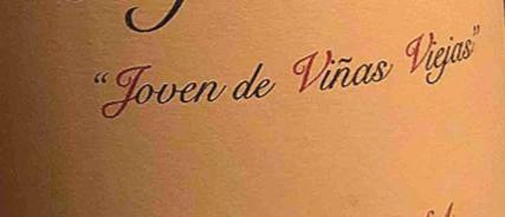 Joven de Viñas Viejas - Goyo Garcia Viadero - goyo-garcia-viadero 