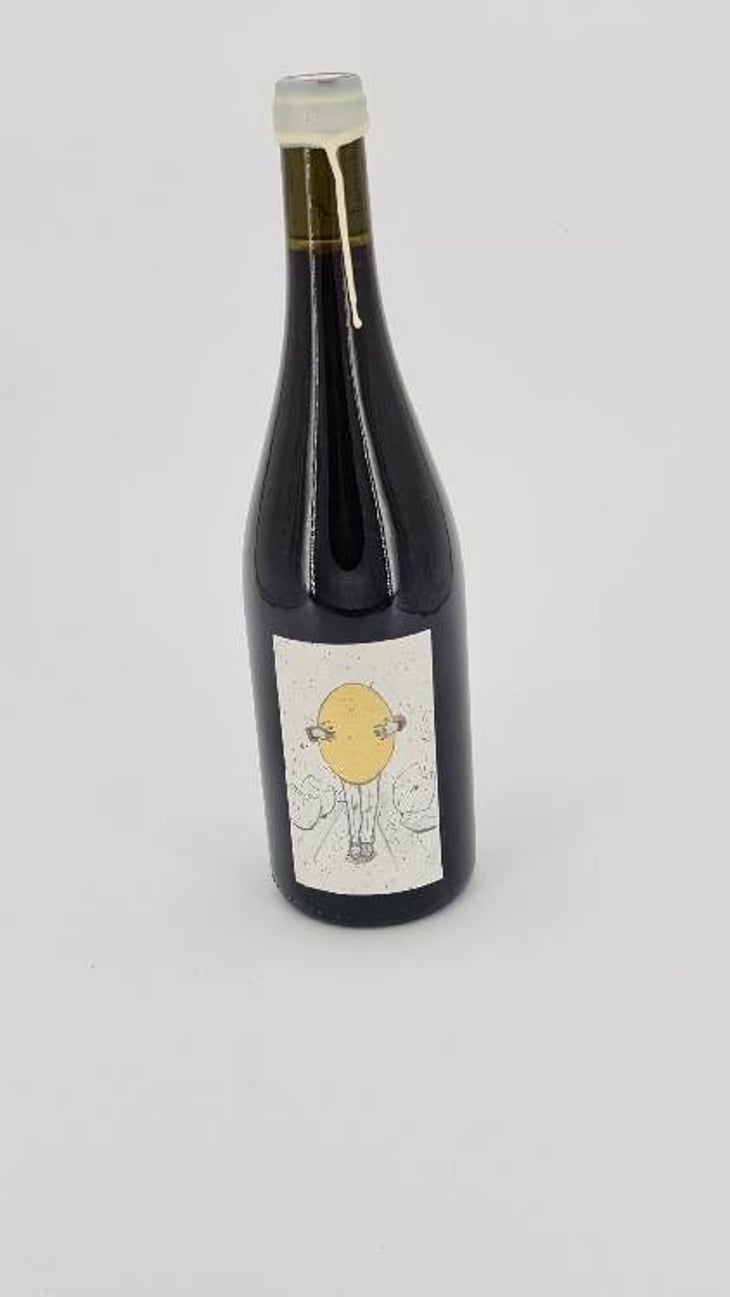 Renaissance De L'Oeuf - Conservatoire De Vignes Anciennes - carles-alonso 