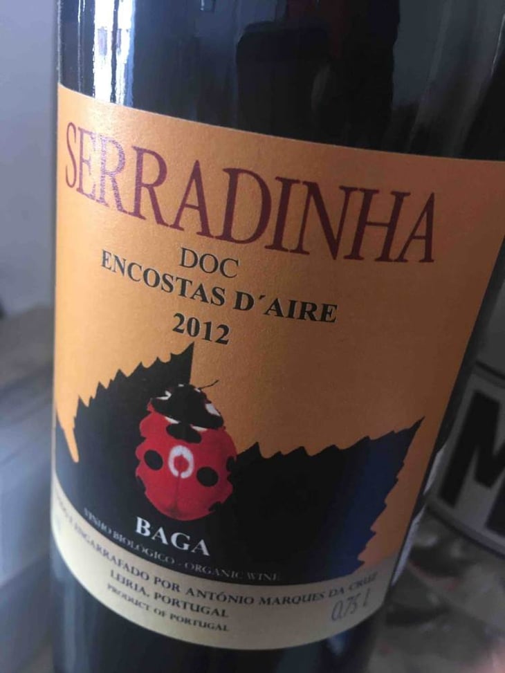 Encostas d’Aire - Quinta da Serradinha - antonio-marques-da-cruz 