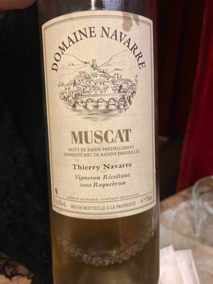 Muscat - Thierry Navarre - thierry-navarre 