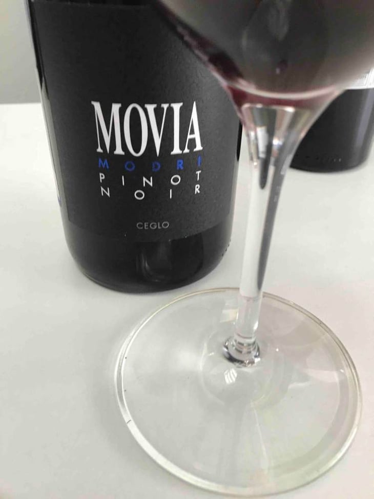Modri Pinot - Movia - ales-kristancic 