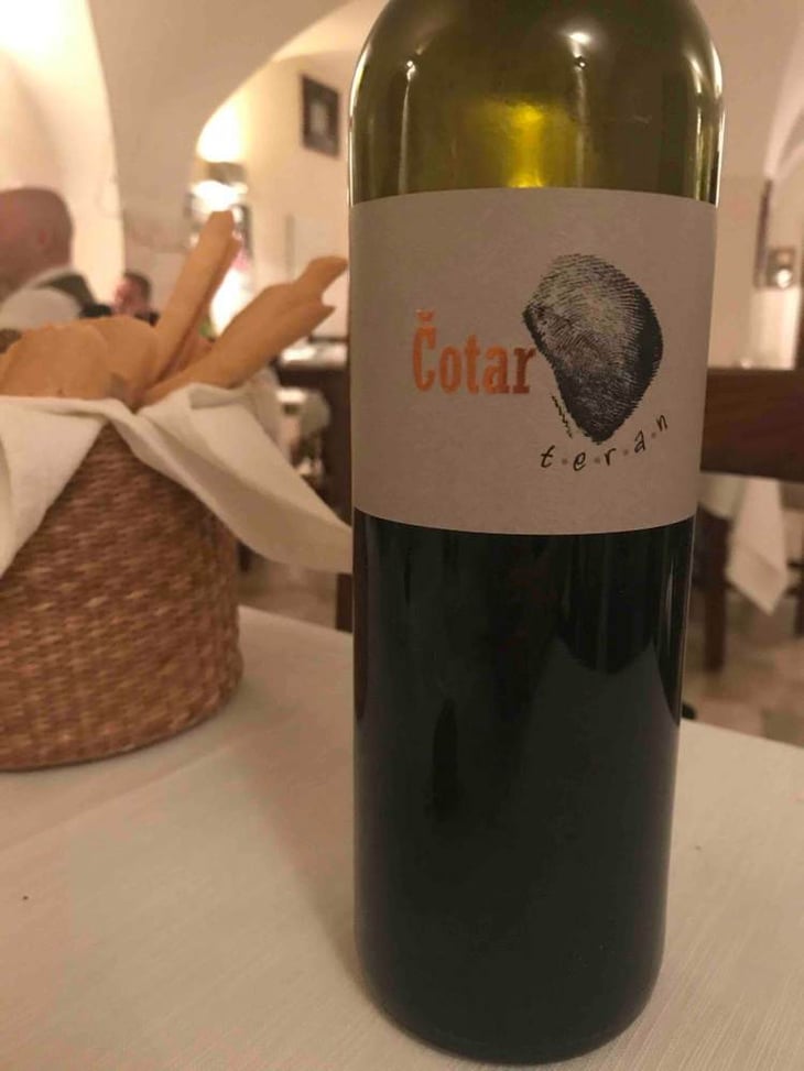 Teran - Čotar - branko-vasja-cotar 