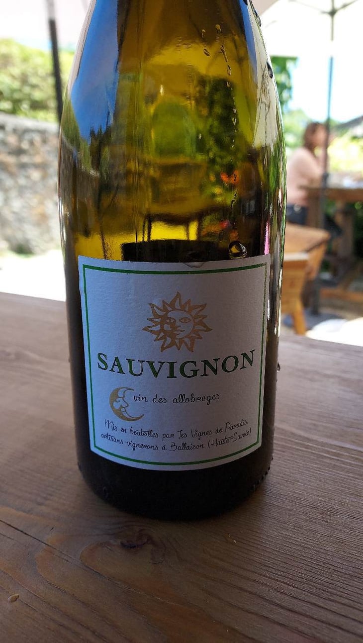 Sauvignon - Les Vignes de Paradis - dominique-lucas -2020
