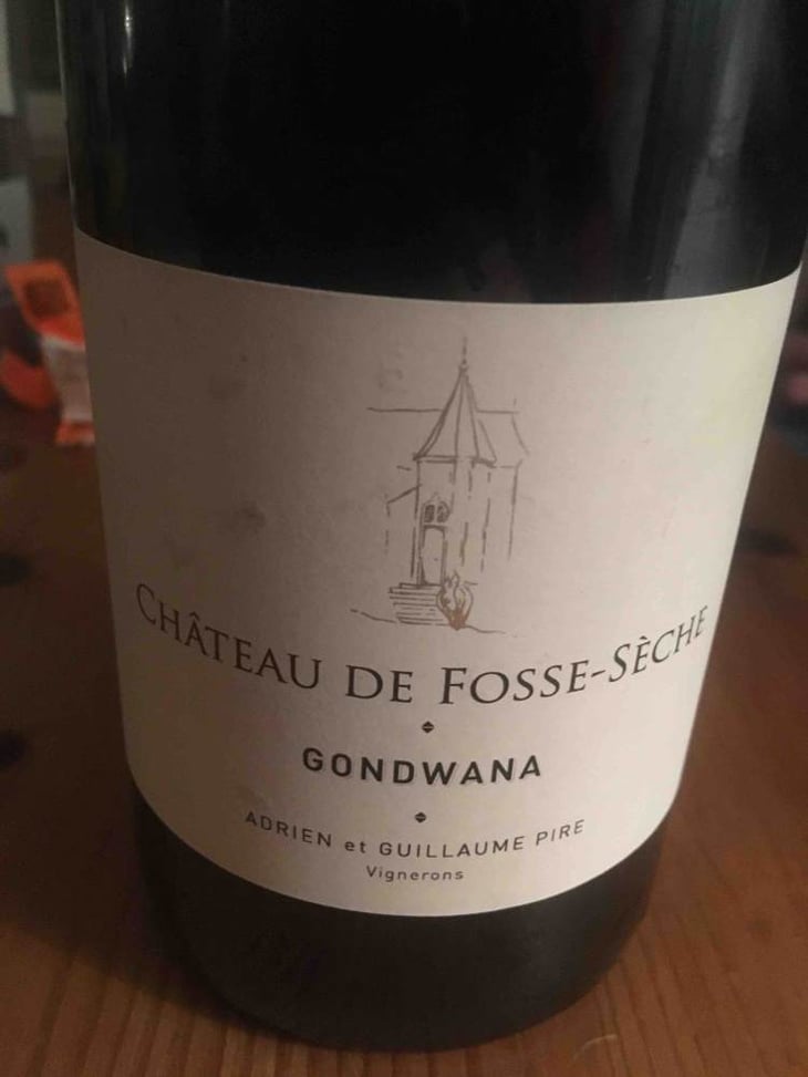 Gondwana - Château de Fosse-Sèche - adrien-guillaume-pire 