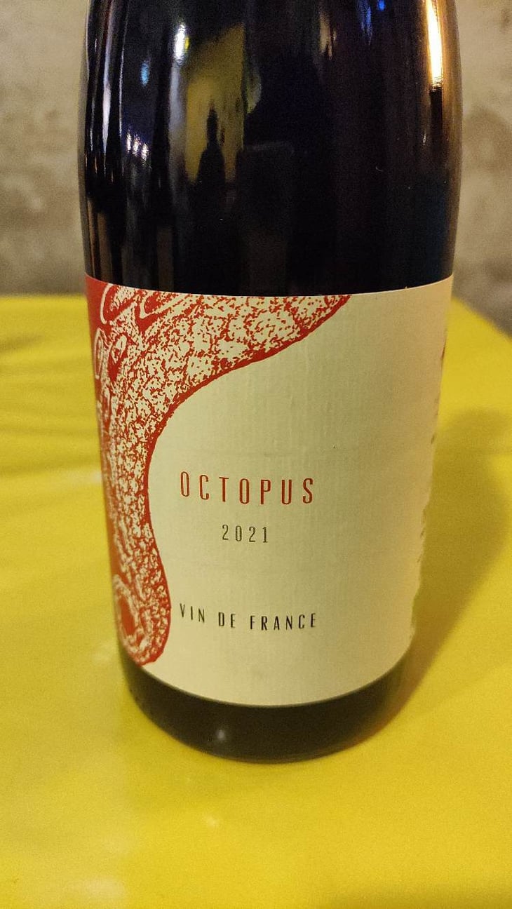 Octopus Rouge - L'Austral - pauline-mourrain-laurent-troubat 