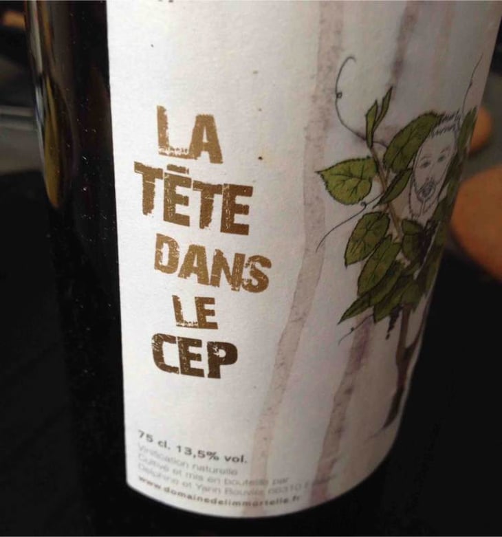 La Tête Dans Le Cep - Domaine De L'immortelle - delphine-yann-bouvier 