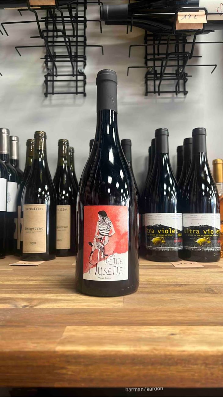 La Petite Musette - Le Facteur Sur Le Vélo - fabien-brutout 