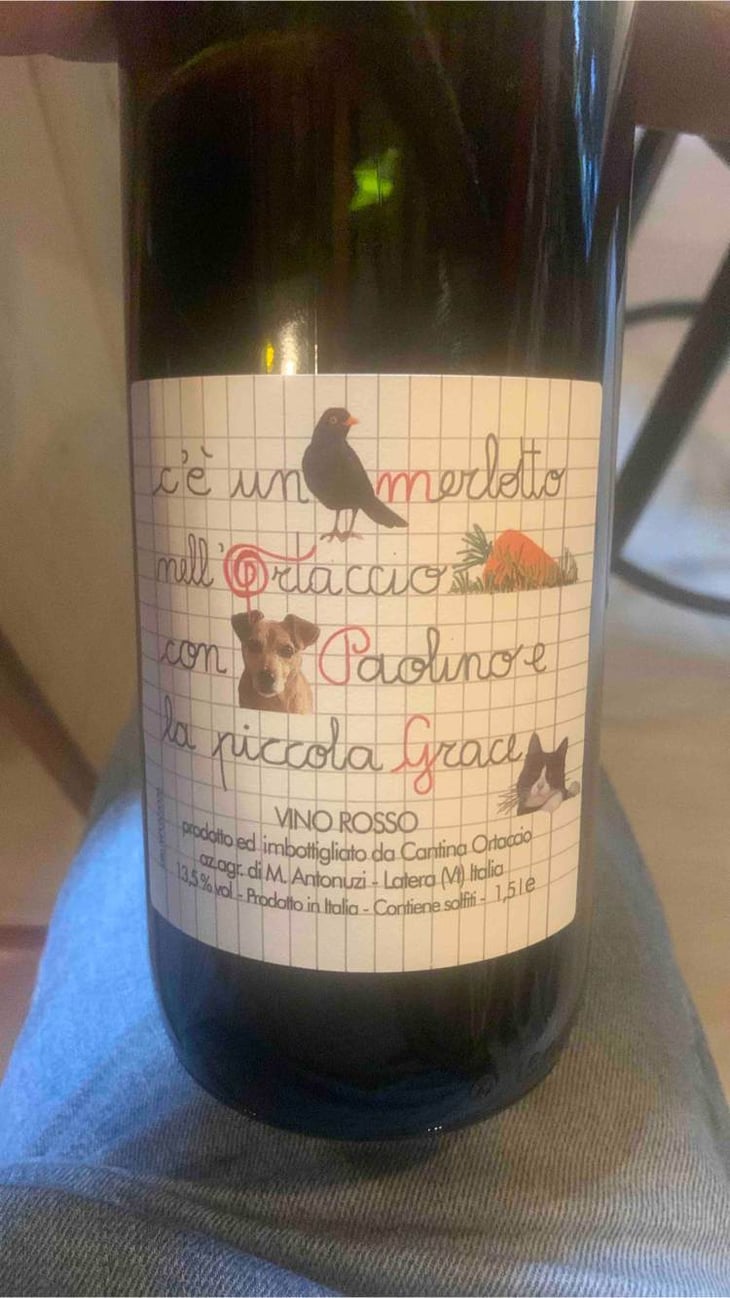 Merlotto - Cantina Ortaccio - massimo-antonuzi-patrizia-montanari -2021