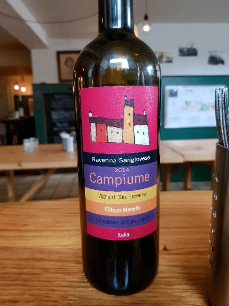 Campiume - Vigne di San Lorenzo - filippo-manetti 