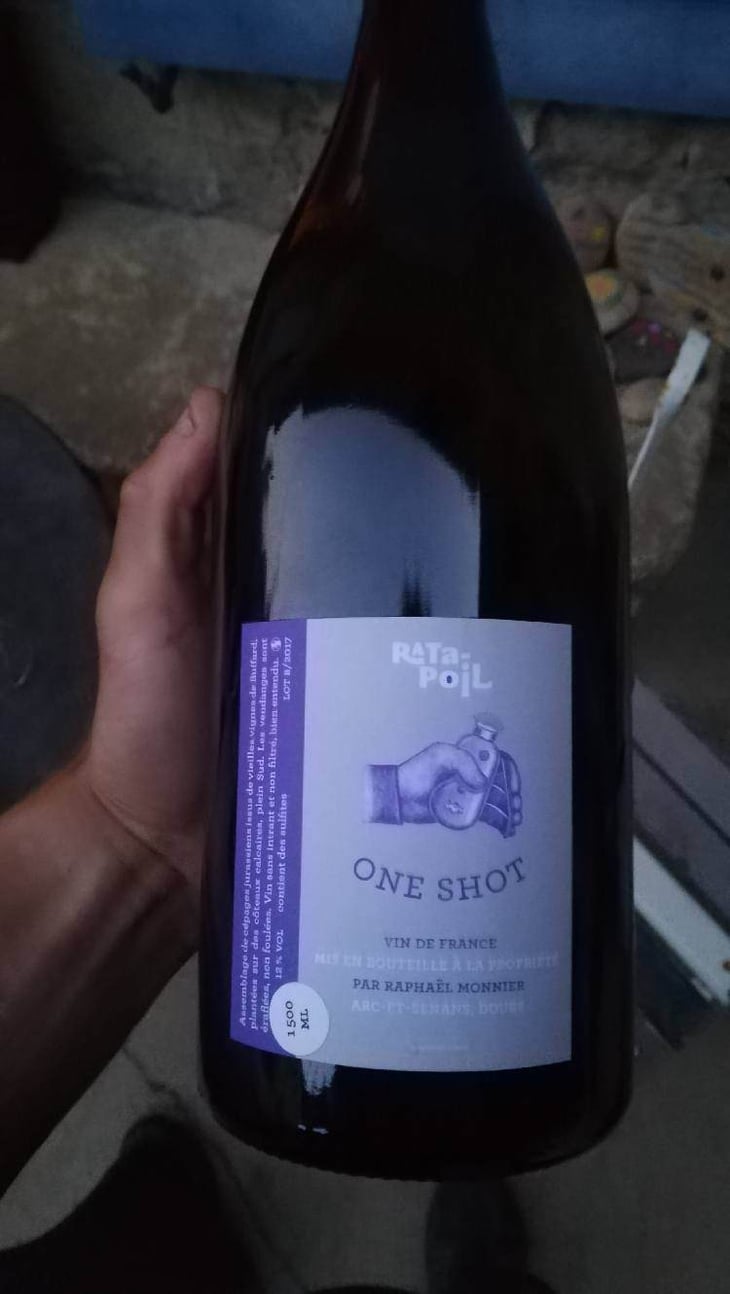 One Shot - Ratapoil - estelle-raphael-monnier 