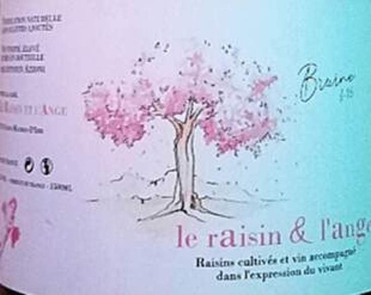 Bruine Blanc - Le Raisin et l'Ange - gilles-antonin-azzoni 