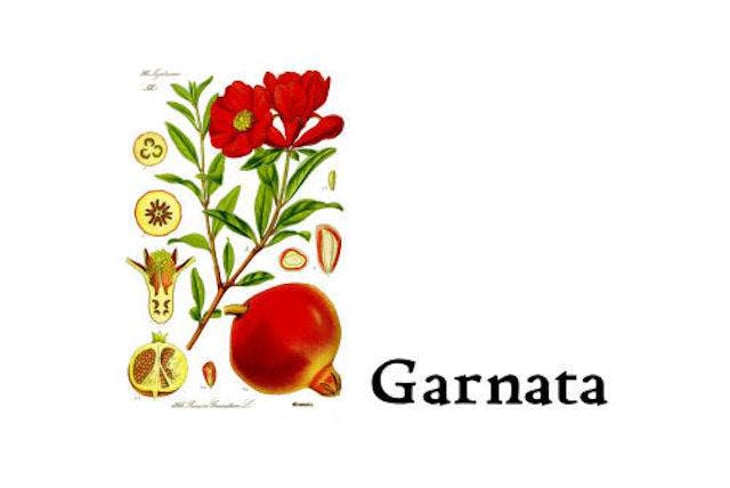 Garnata - Barranco Oscuro - manuel-lorenzo-valenzuela 