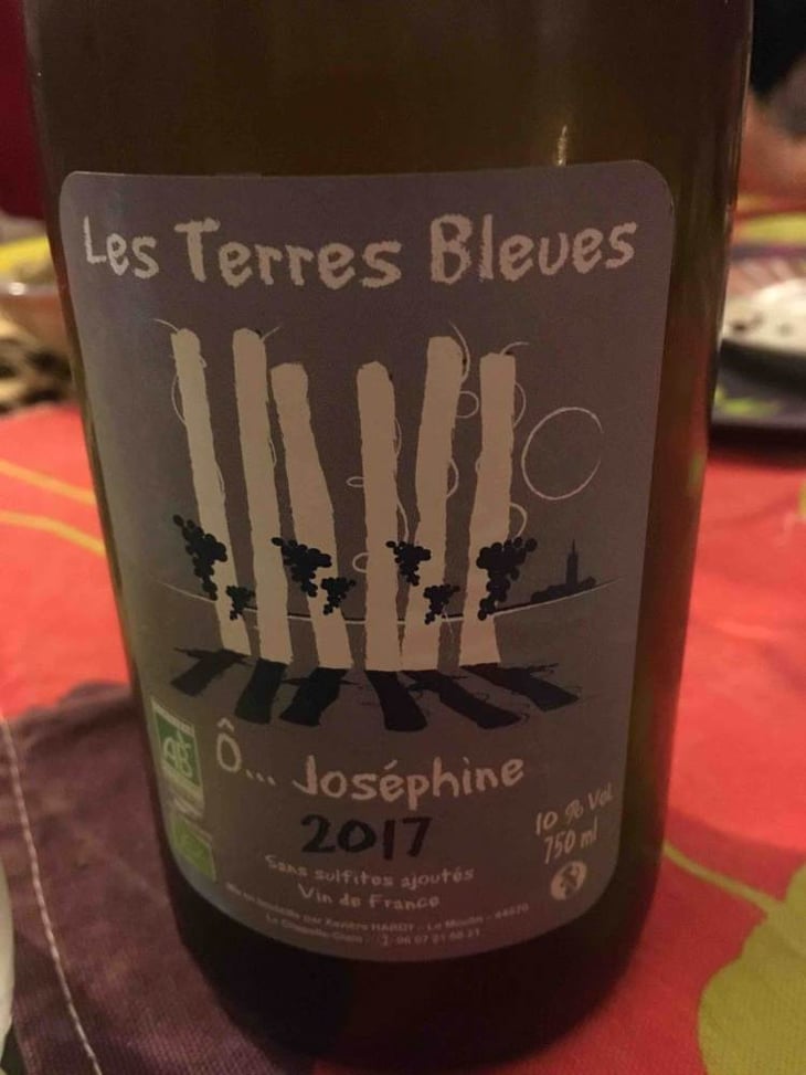 Ô...Joséphine - Les Terres Bleues - xaviere-hardy 