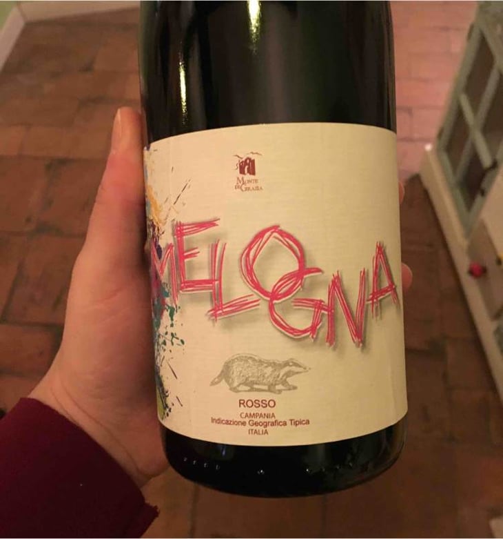 Melogna - Monte di Grazia - alfonso-arpino 