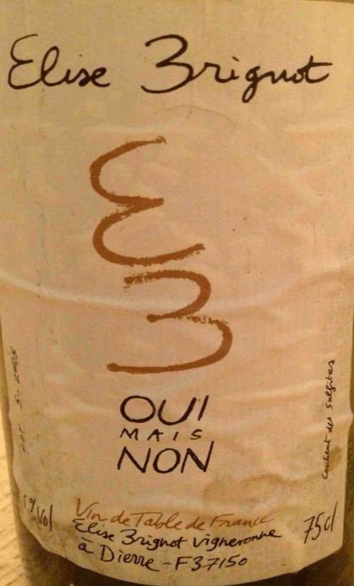Oui Mais Non - Elise Brignot - elise-brignot 