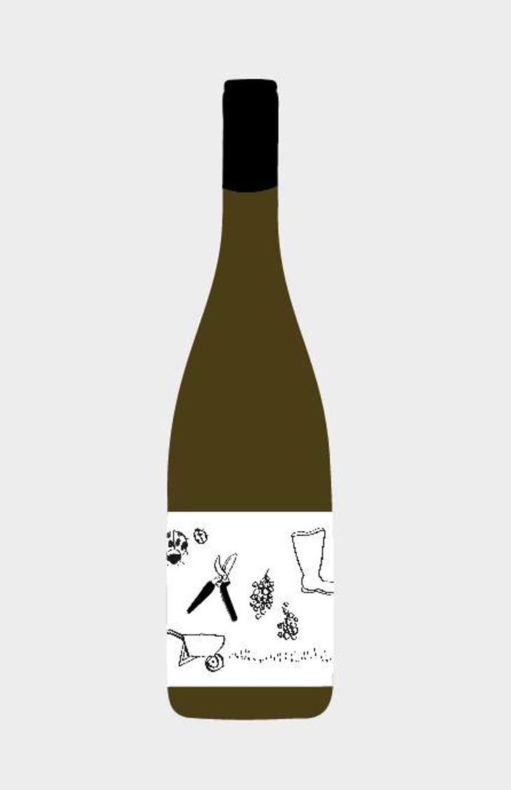 Farm Wine - The Wine Farm - anna-neil-hawkins 