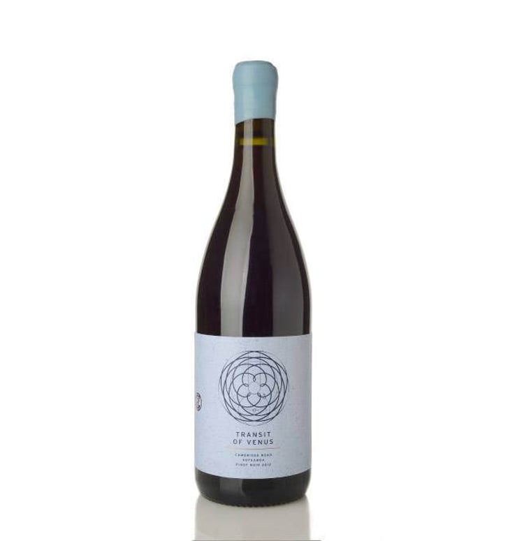 Transit of Venus - Cambridge Road Vineyard - lance-redgwell 
