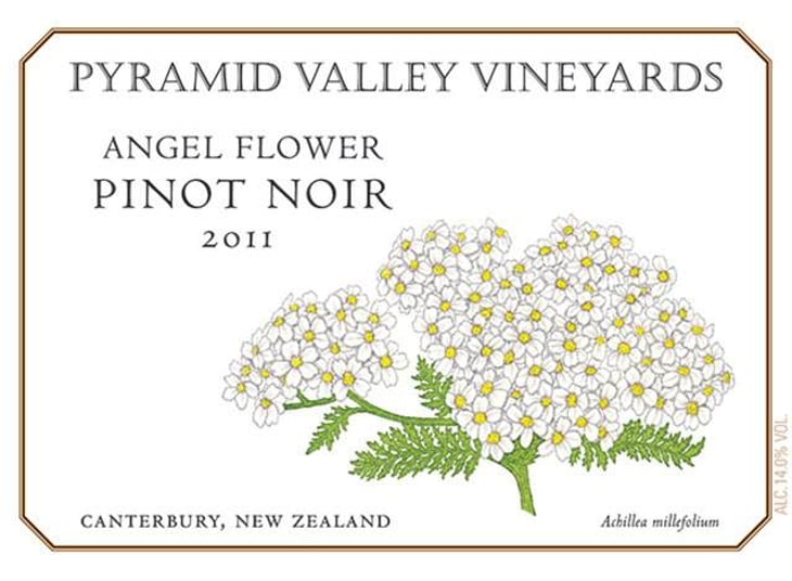 Angel Flower - Pyramid Valley - mike-claudia-weersing 