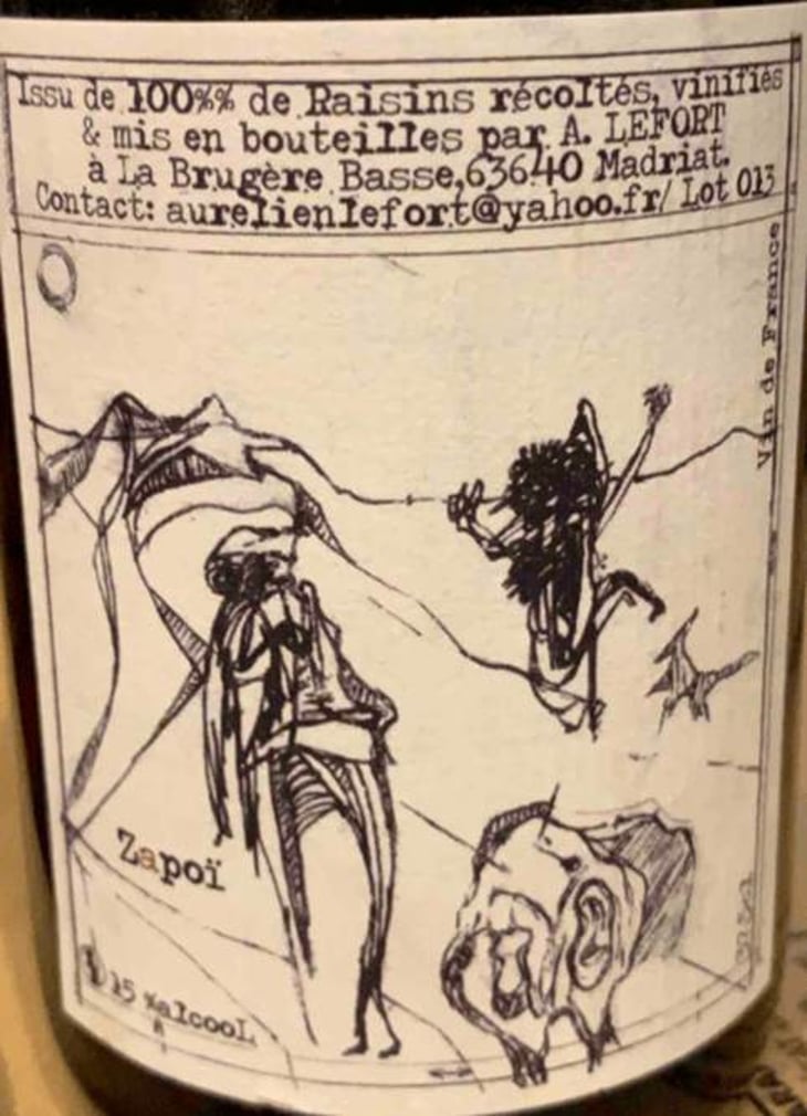 Zapoï - Aurélien Lefort - aurelien-lefort 