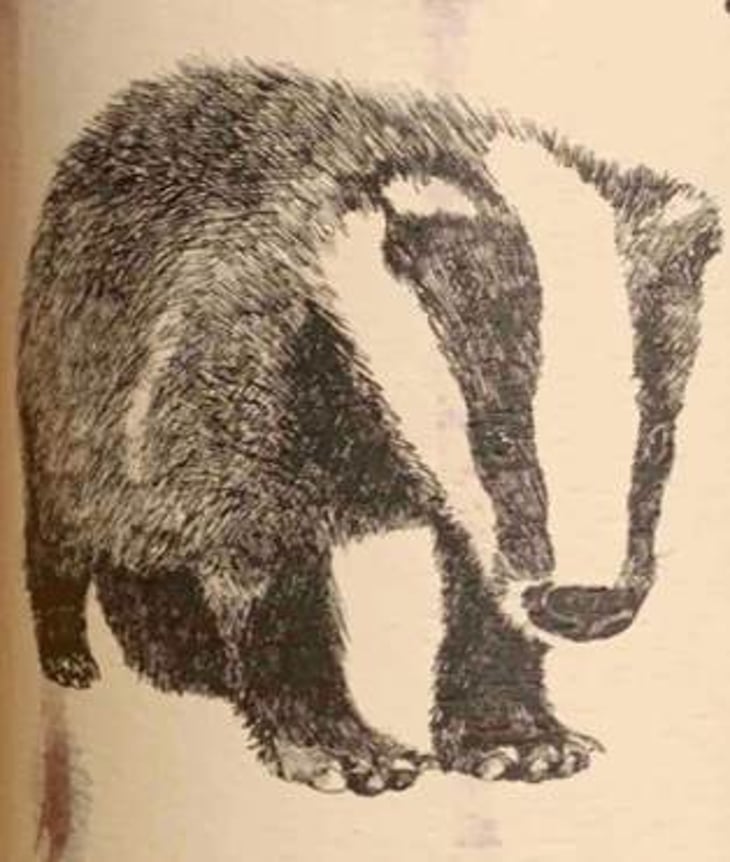 THE BADGER