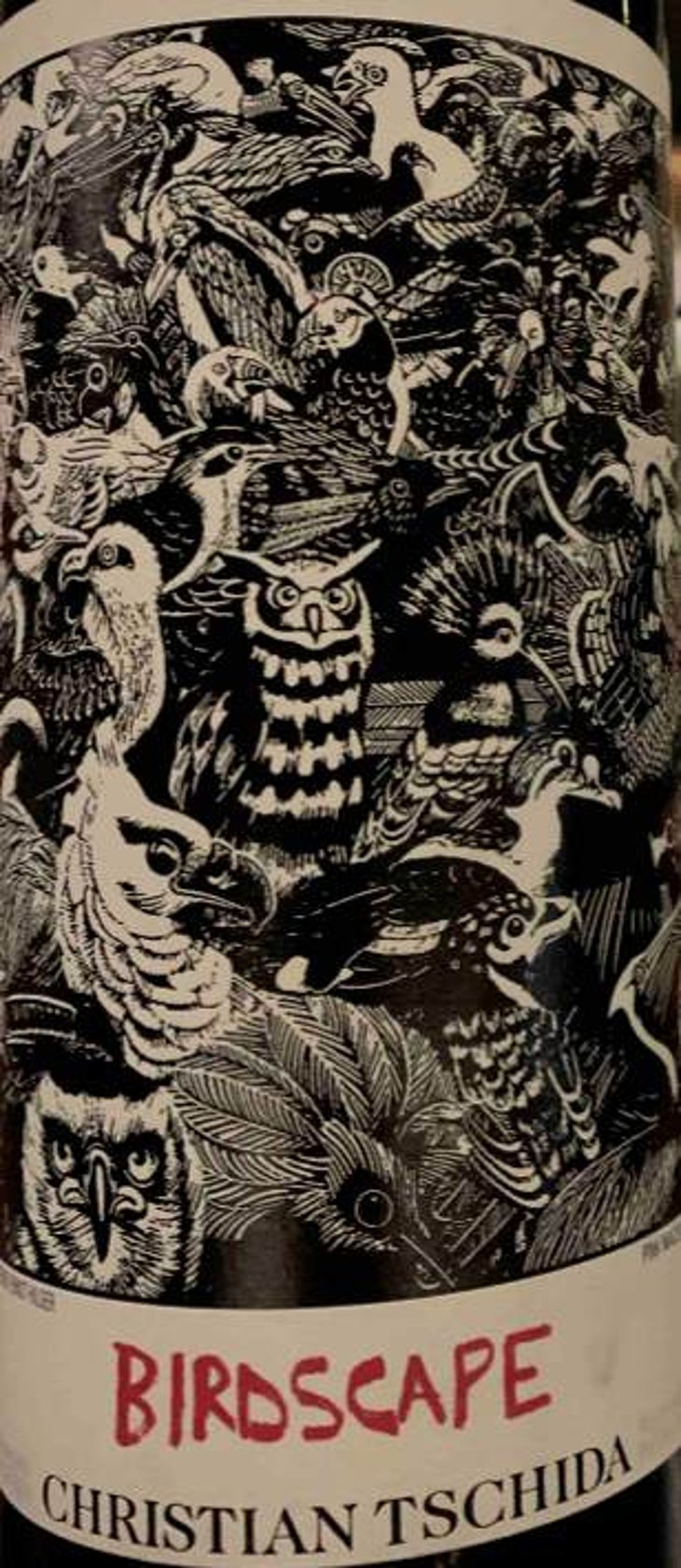 Birdscape - Christian Tschida - christian-tschida 