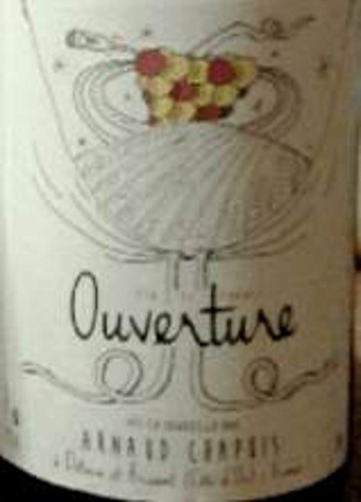 Ouverture - Aligoté Macération - Domaine Arnaud Chapuis - arnaud-chapuis 