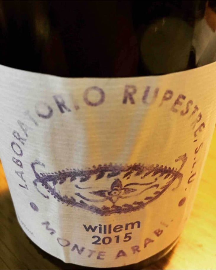 Willem - Laboratorio Rupestre - erik-rosdahl 