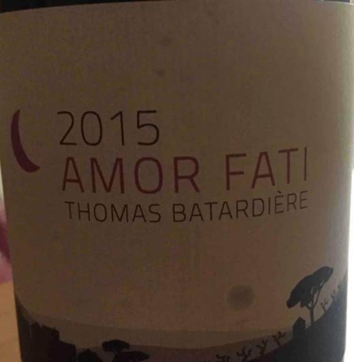 Amor Fati - Batardiere - thomas-marie-lise-batardiere 