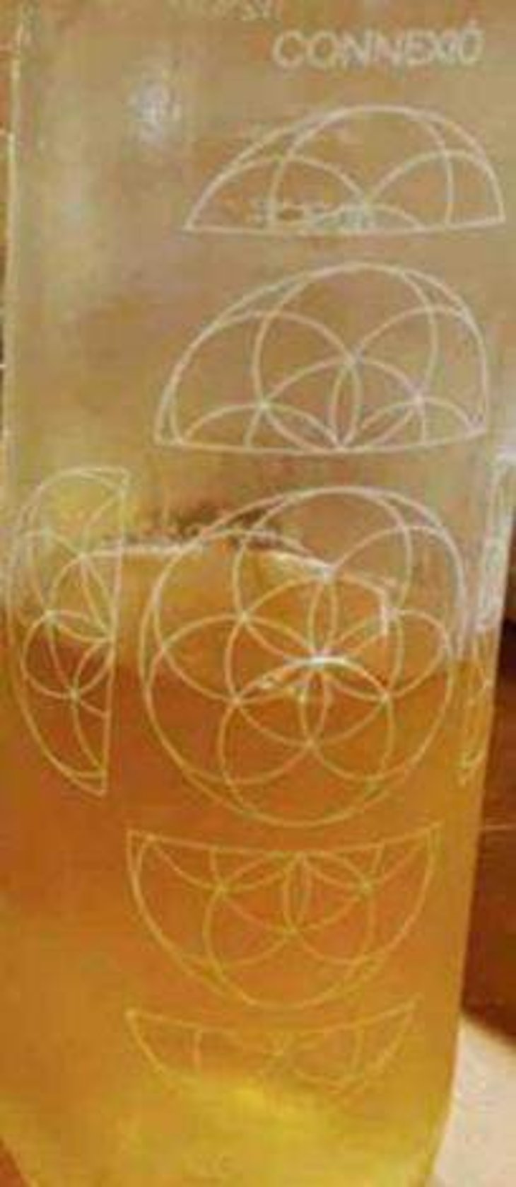 Connexio Cosmica