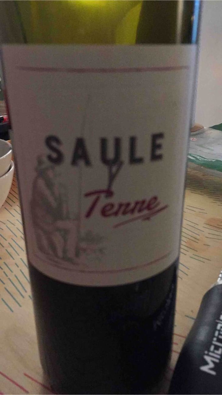 Saule Y Terre - Domaine Les 3 Saules - francois-laborie 