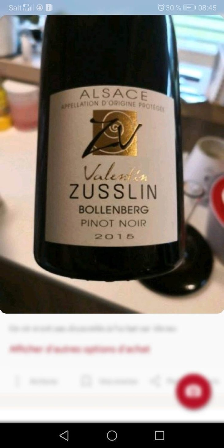 Pinot Noir Bollenberg - Domaine Valentin Zusslin - Jean-Paul & Marie Zusslin 